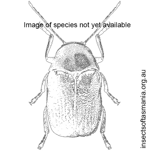 Species image