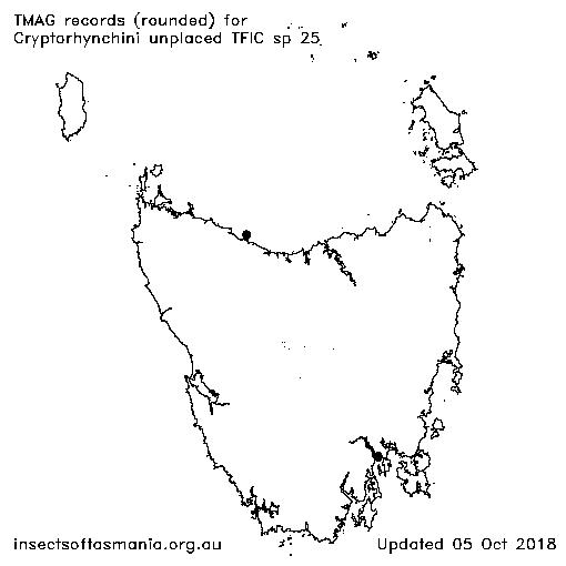 Cryptorhynchini-unplaced-TFIC-sp-25_map_051018 Map of records not yet available