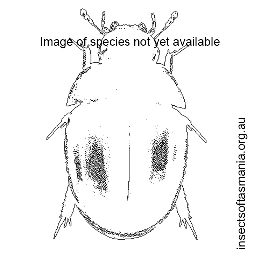 Species image