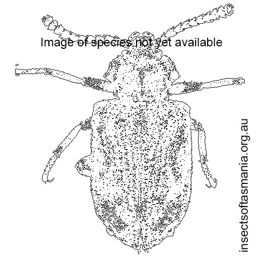 Species image