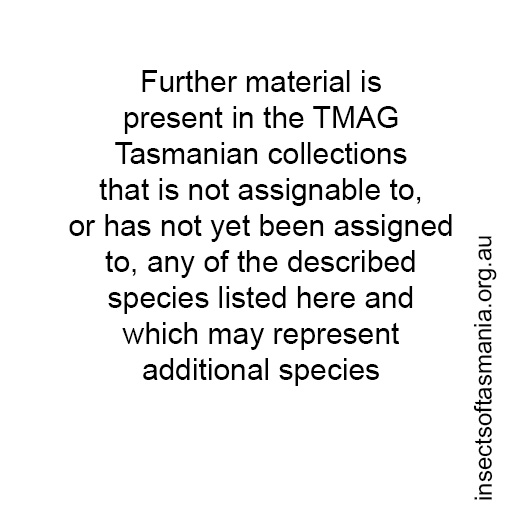 Species image