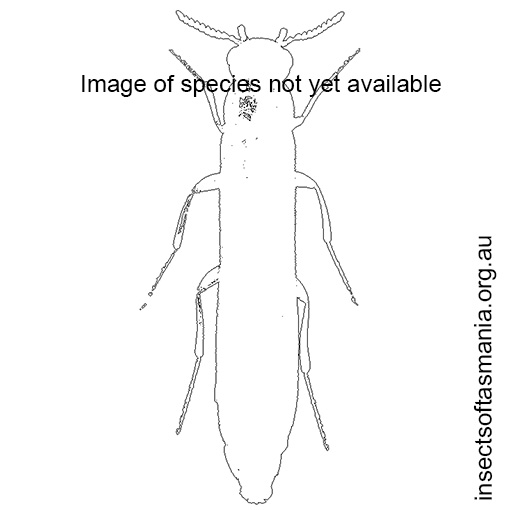 Species image