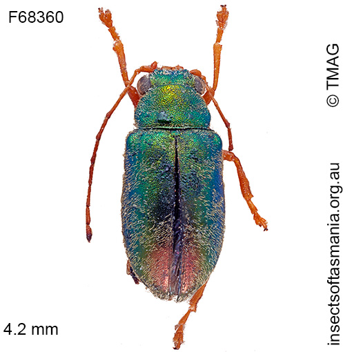 Species image
