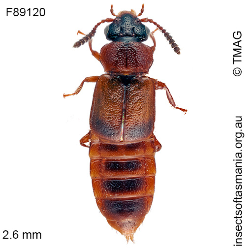 Species image
