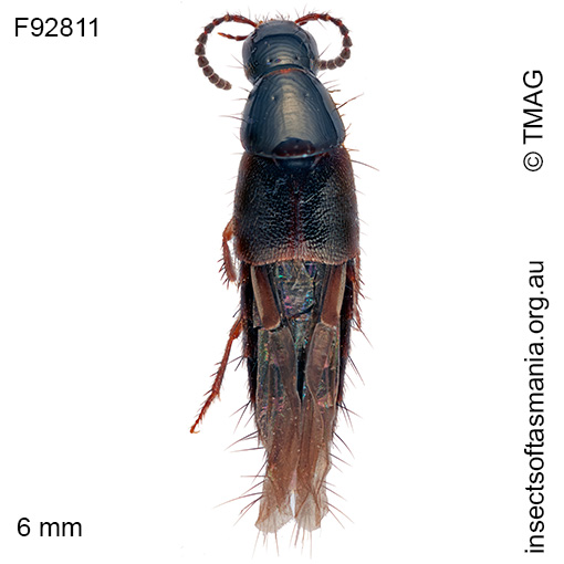 Species image