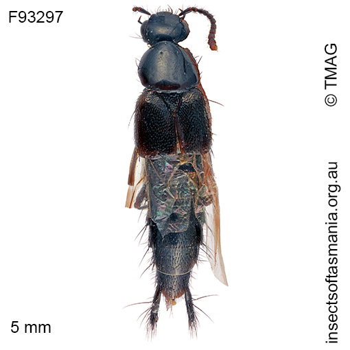 Species image
