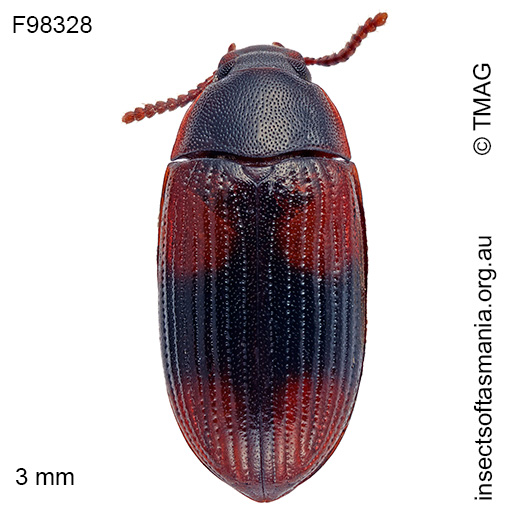 Species image