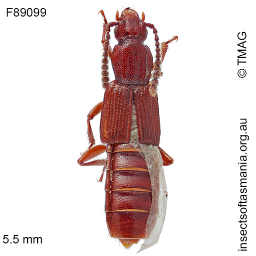 Species image