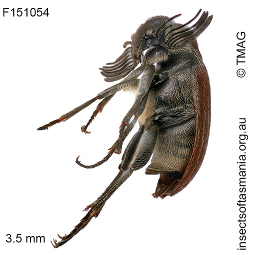 Map of records not yet available