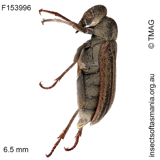 Map of records not yet available